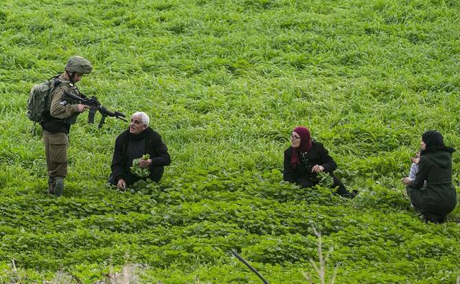 Araştırma: İşgal Altındaki Filistin Topraklarındaki Yasadışı Yerleşimlerden Gelen Ürünler Avrupa'ya "İsrail Menşeli" Olarak Satılıyor